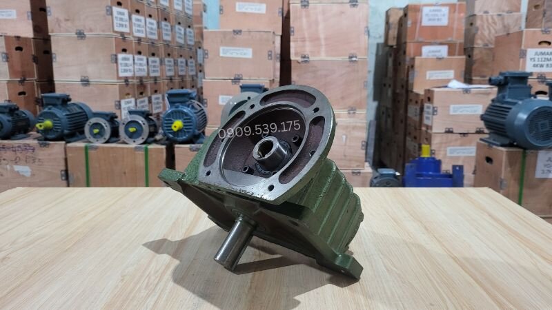 Cấu tạo bên trong hộp giảm tốc trục vít WPDX 120