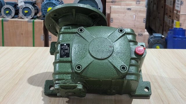 Hộp giảm tốc trục vít WPDX 120 - Ảnh 4
