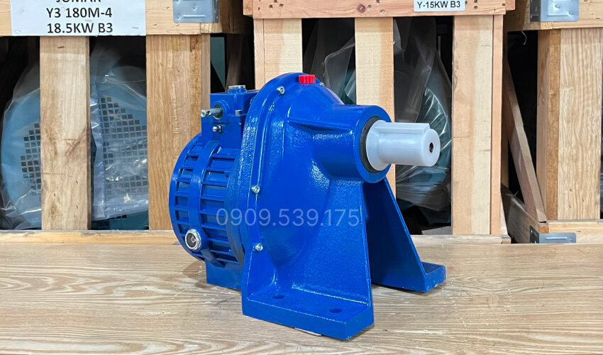 Điều tốc chân đế (B3)