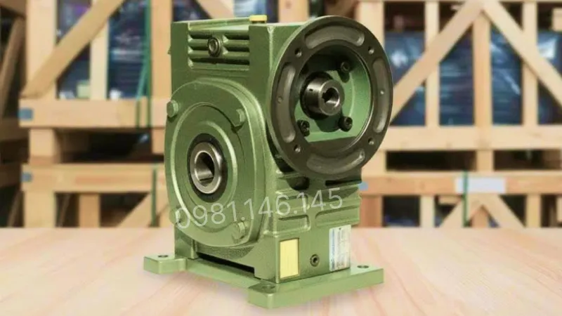 Thiết kế tổng quan hộp giảm tốc trục vít WPDKS 250