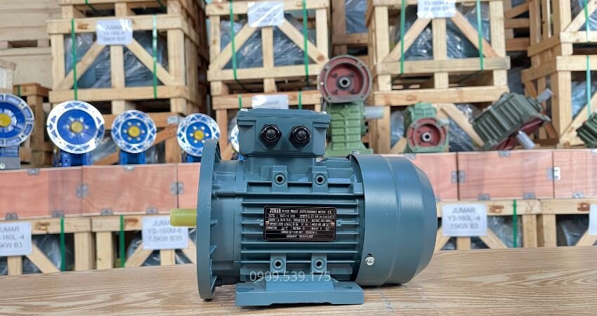 Động cơ điện tại Thành Thái Motor.