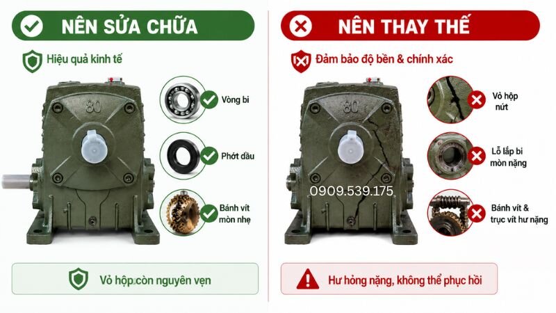 Đánh giá thời điểm sửa chữa hoặc thay mới hộp WP